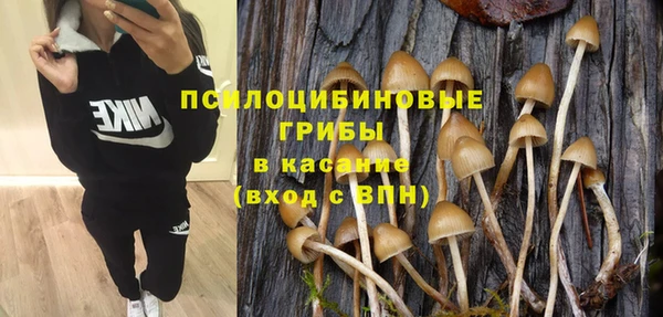 не бодяженный Арсеньев