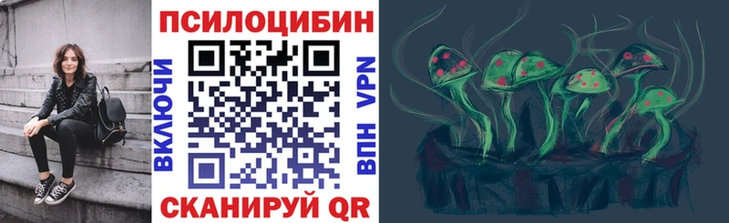 Галлюциногенные грибы Psilocybe  Сясьстрой 