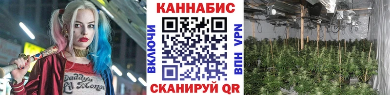 гидра ссылка  Сясьстрой  shop какой сайт  Конопля LSD WEED 